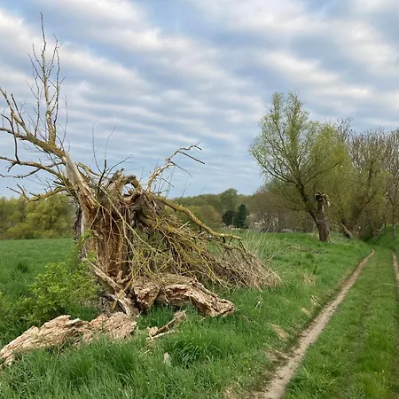 Wohnen Im Gutshaus *